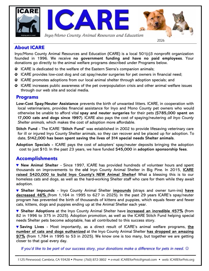 Information Flyer 2026